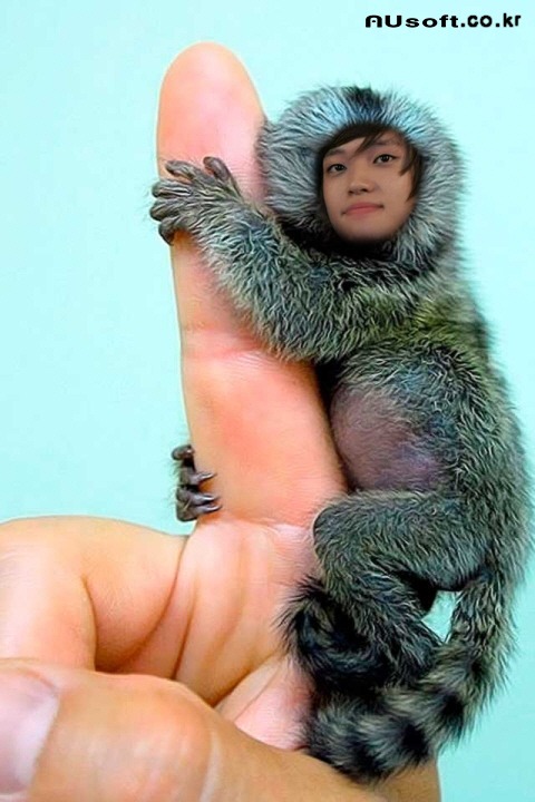 치킨오빠 이미지