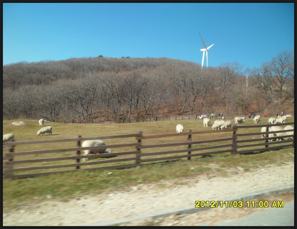 백두축산 이미지