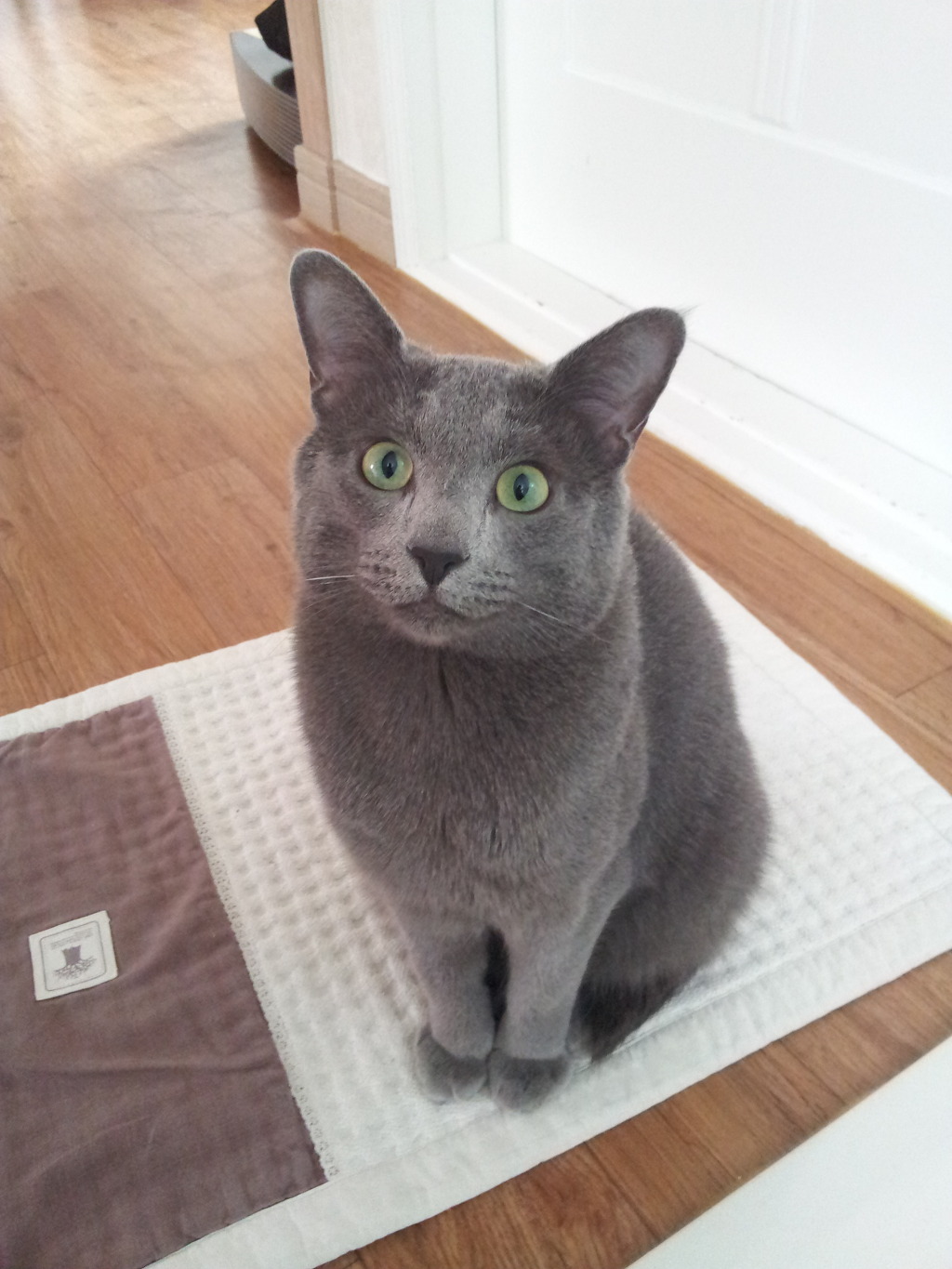 강토 이미지