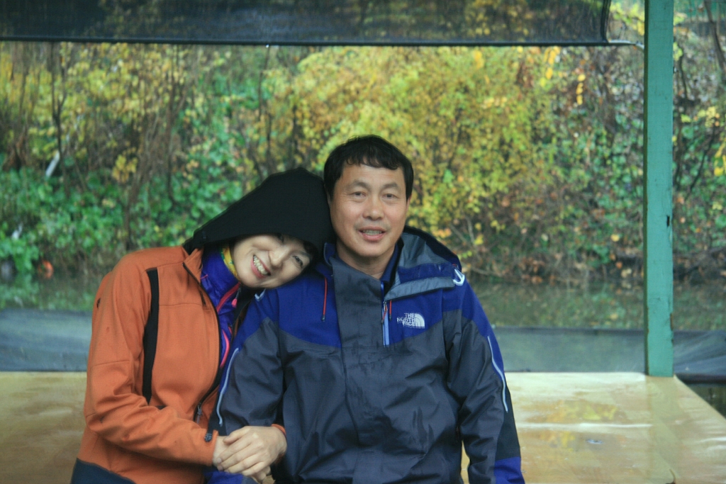 자연과숲 이미지
