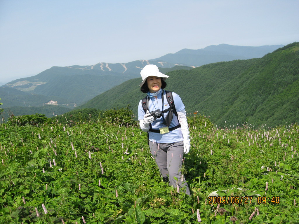 삼공주 이미지
