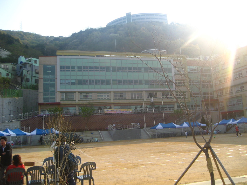 아미초등학교 이미지