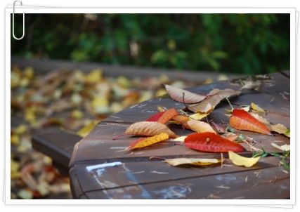 111E593B5093FEB127A481