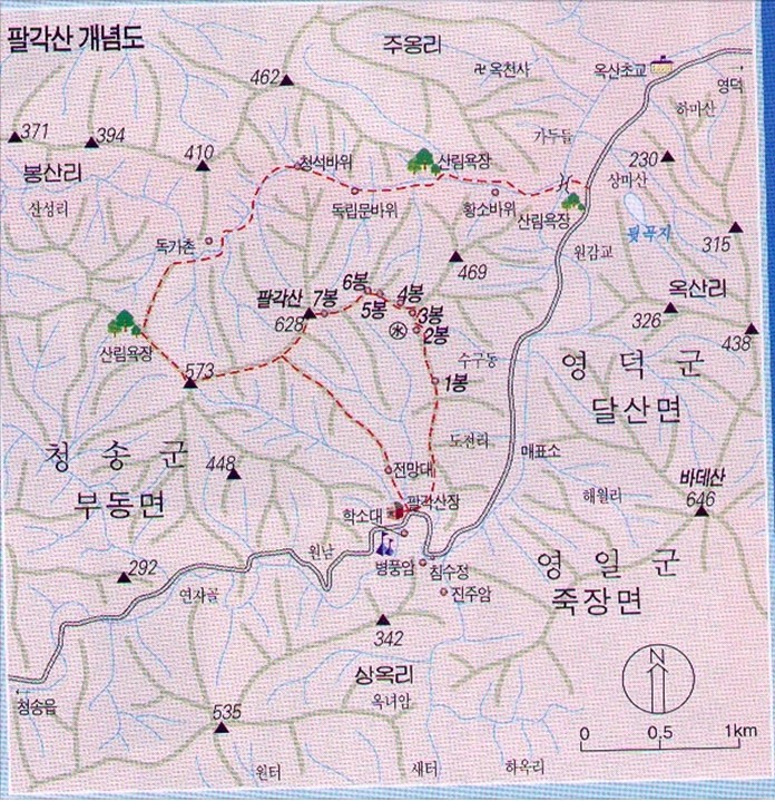 꽃돼지장터 이미지