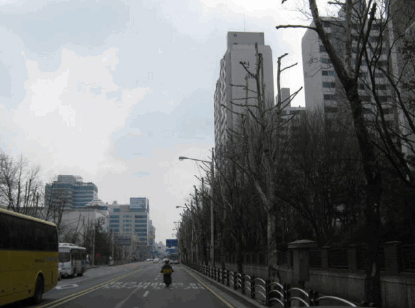 신성부동산컨설팅 이미지