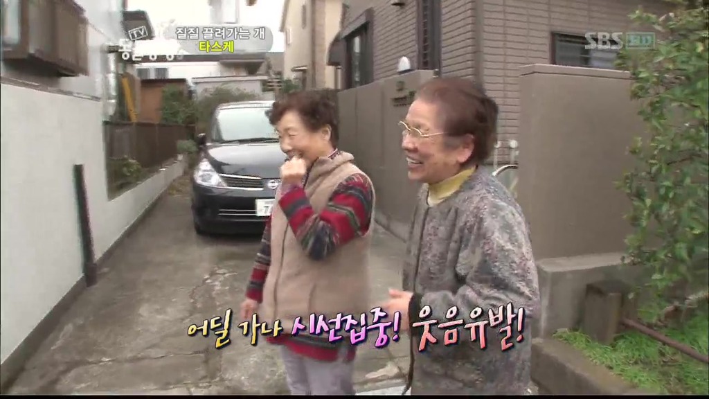 [동물농장] 목줄로 질질 끌려다니는 개.JPG | 인스티즈