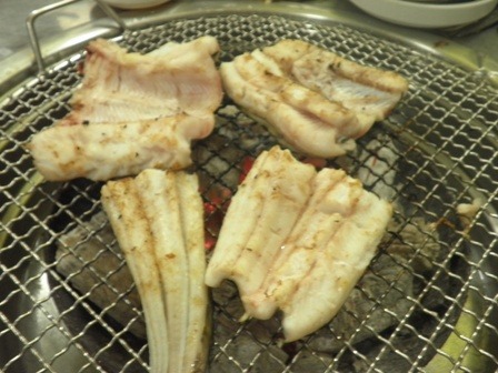 황금장어 이미지
