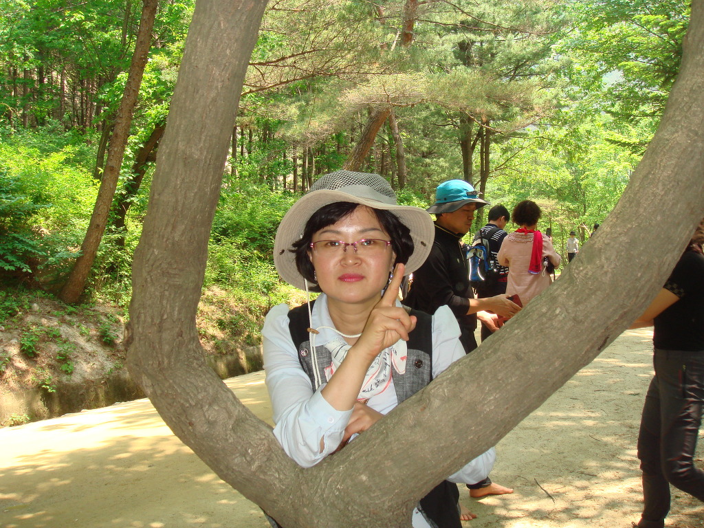야향 이미지