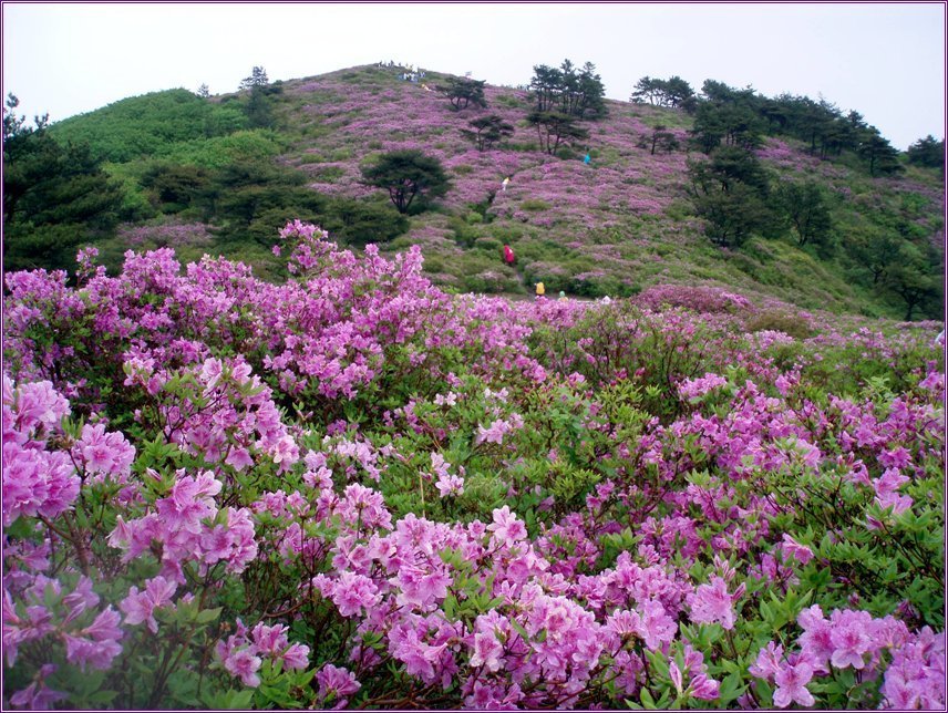 보성씨네마 이미지