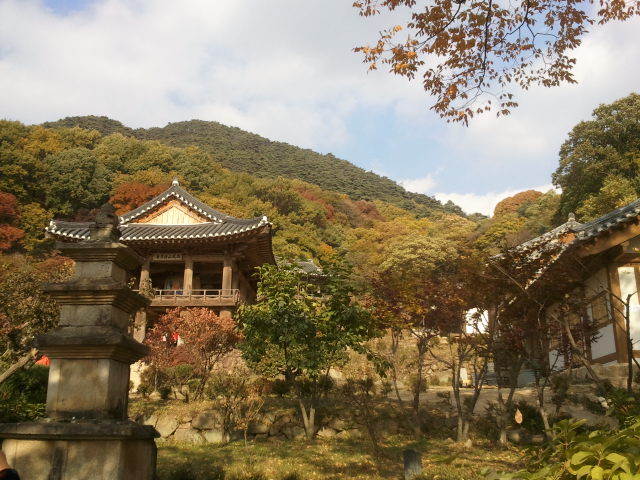 이삐 이미지
