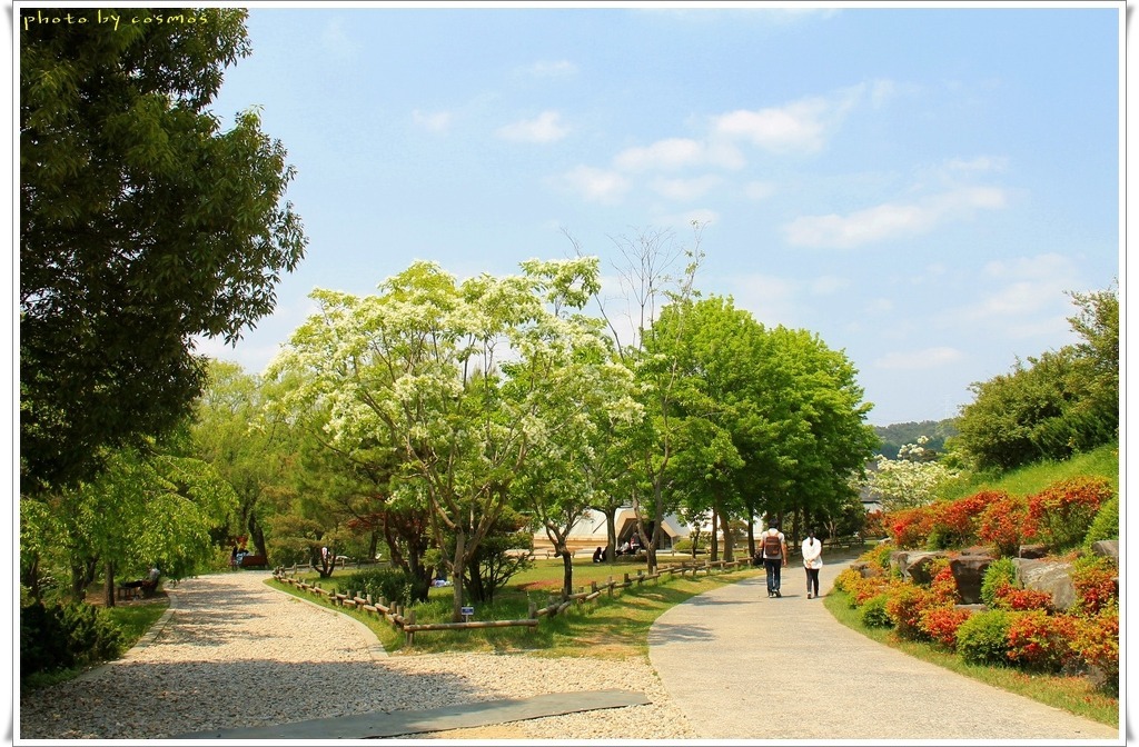 숲길 이미지