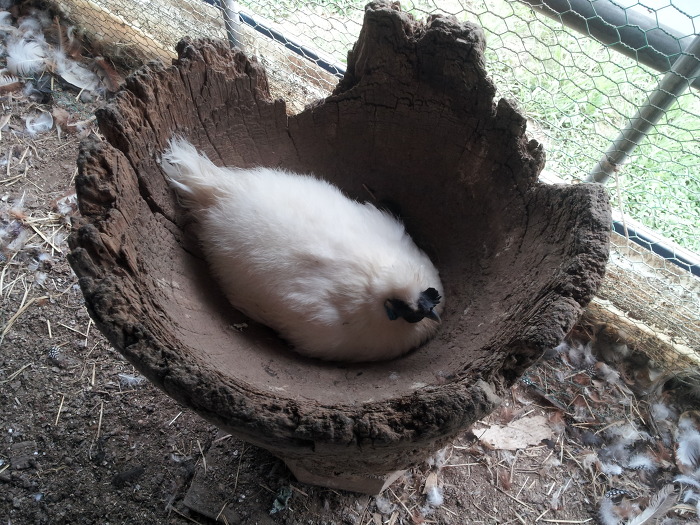 바위농원 이미지
