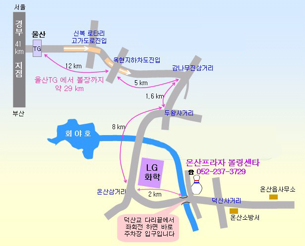 울산광역시볼링협회 이미지