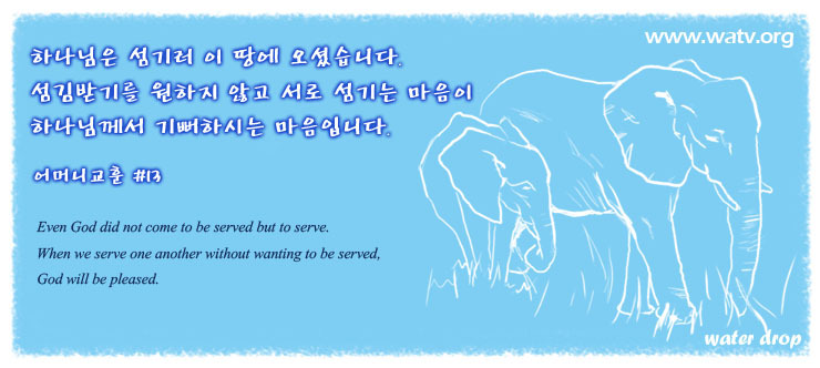 닮은사람들 이미지