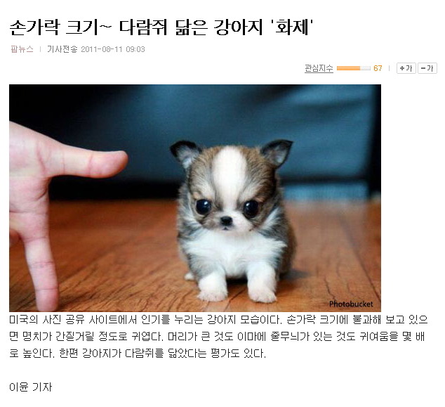 아 이미지