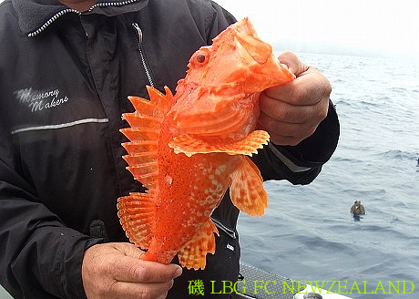 1170DF364D4EBE181670F1