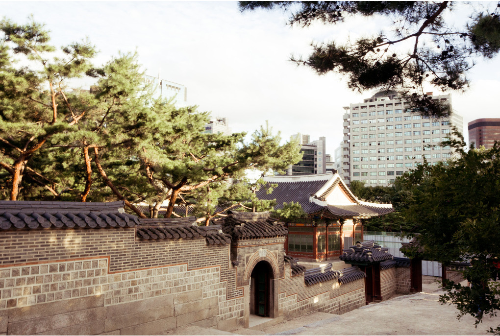 외국인이 찍은 서울 | 인스티즈
