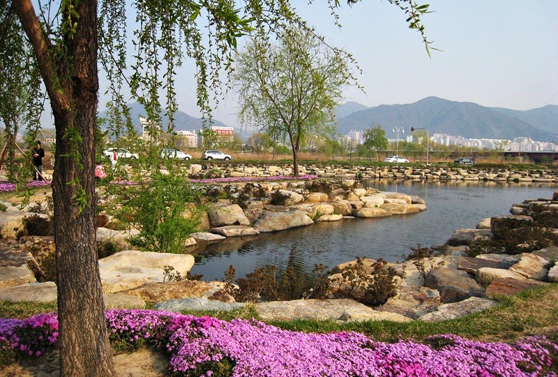아베크 이미지