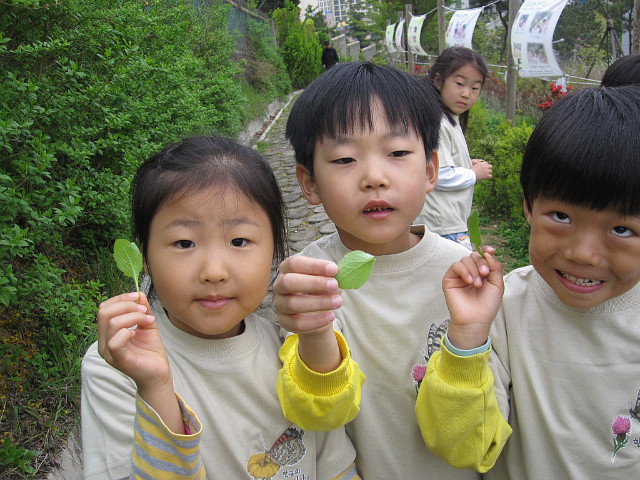 숲소리어린이집 이미지
