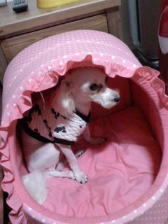 마르티스 이미지