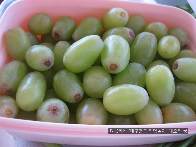 미나리가스 이미지
