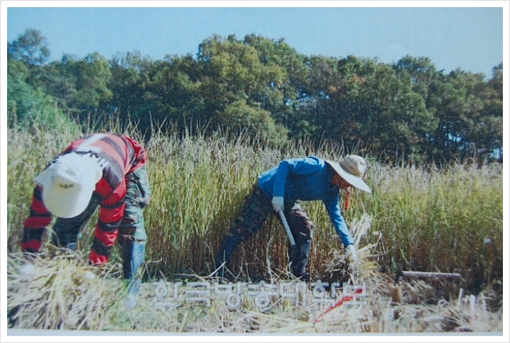 충남쌀슈퍼 이미지