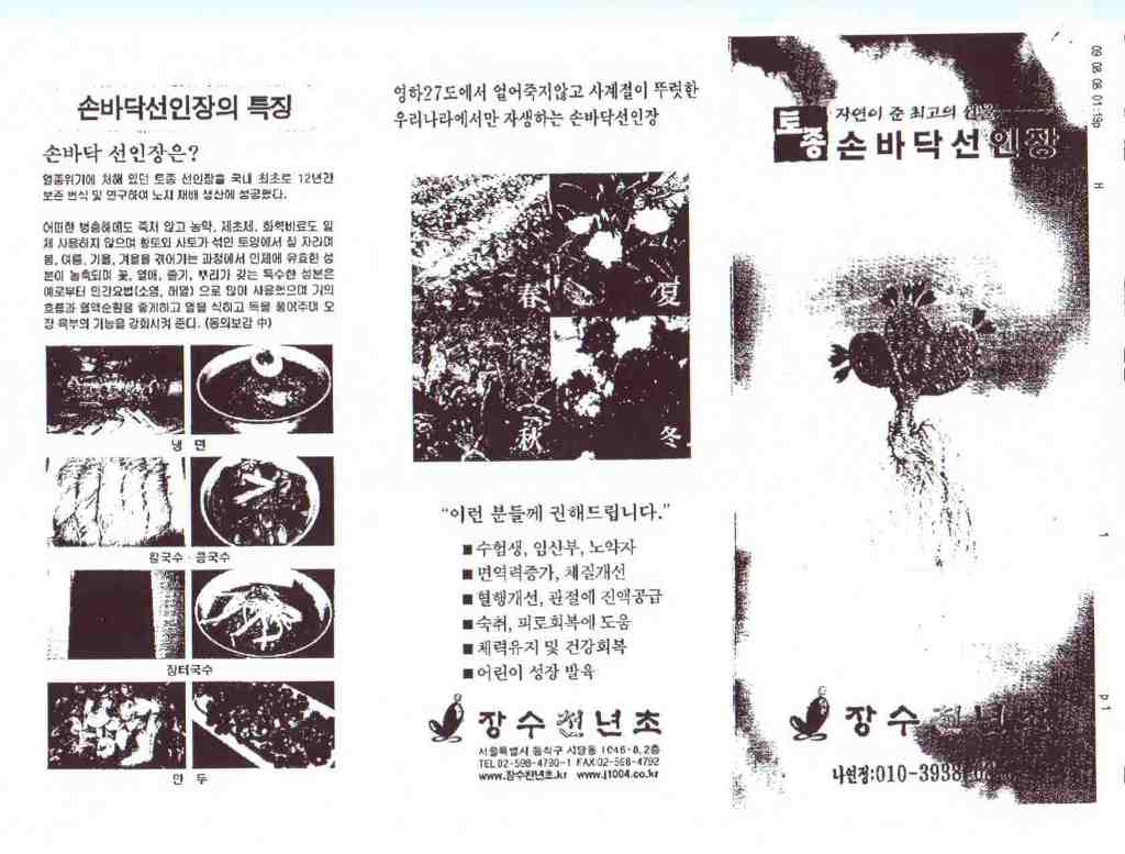 성원웰빙식품 이미지