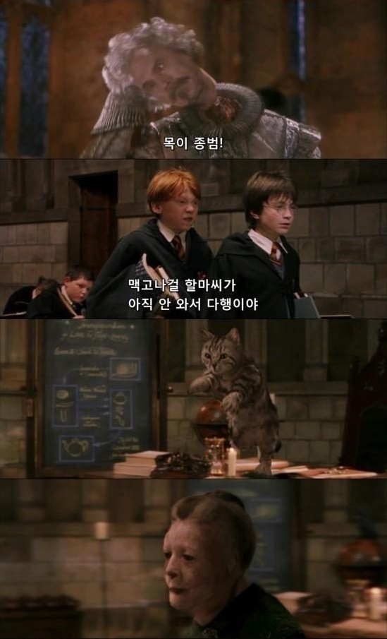 해리포터 스포甲 자막 | 인스티즈