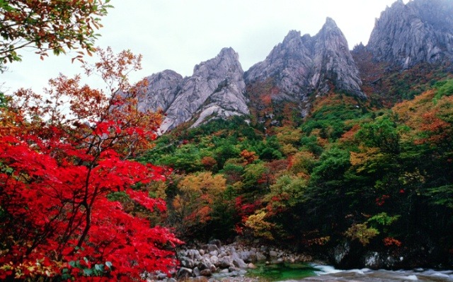 금강산 이미지