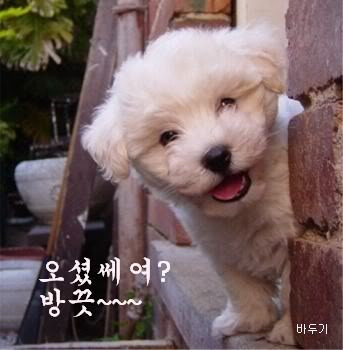 아 이미지