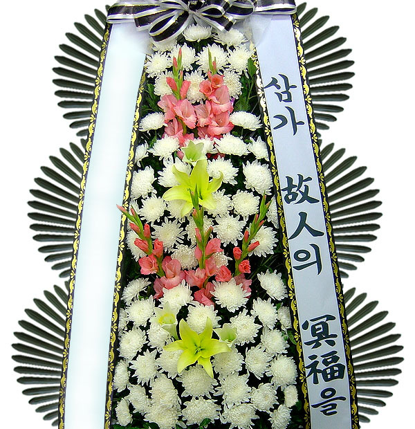 라플레르 이미지