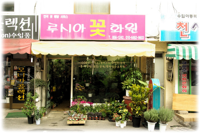 루시아꽃화원 이미지