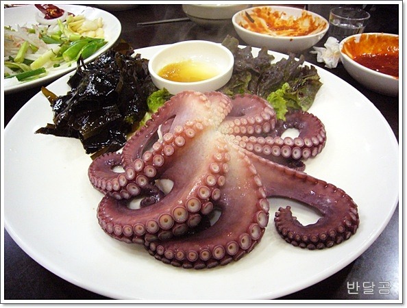 영덕막회 이미지