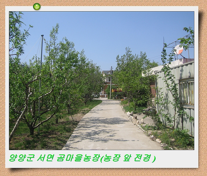 곰마을민박 이미지