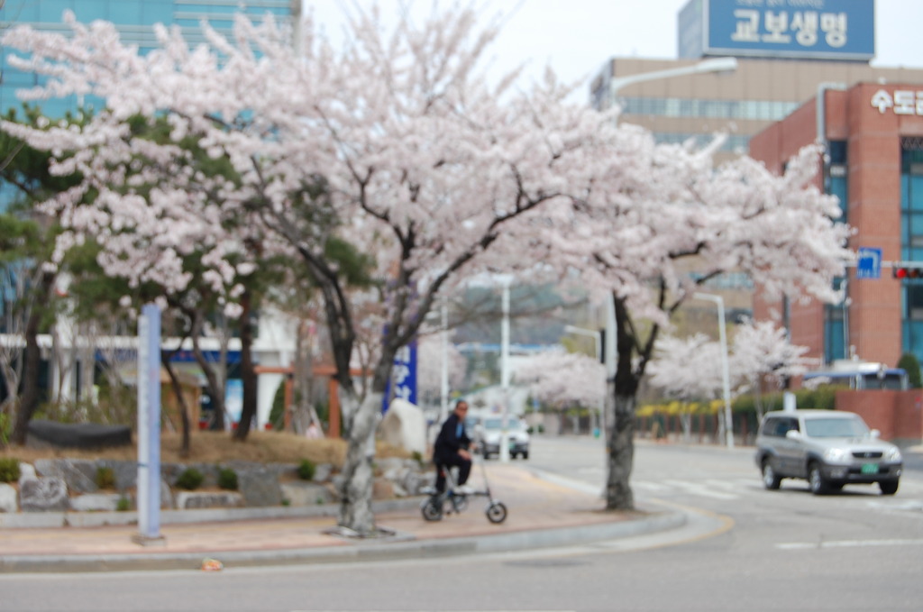 별천지단란주점 이미지