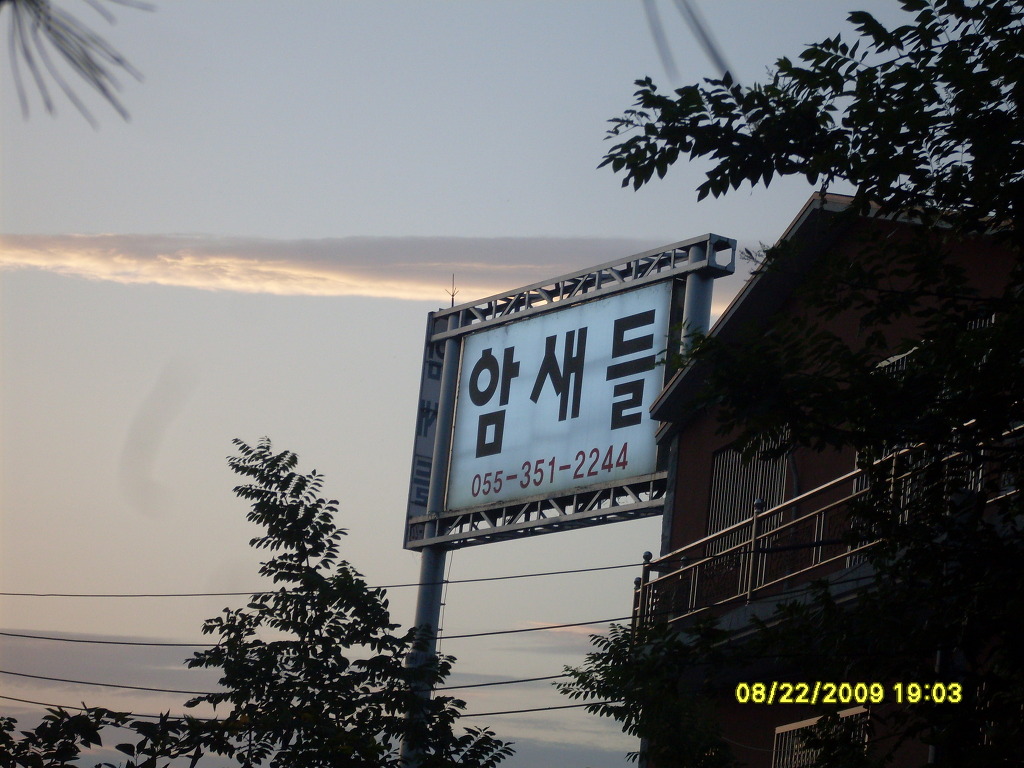 암새들 이미지
