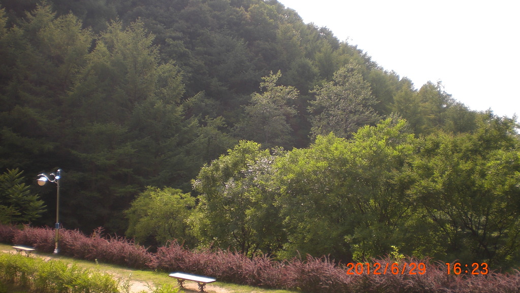 만인산자연휴양림 이미지
