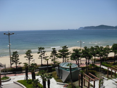 팔레드시즈 이미지