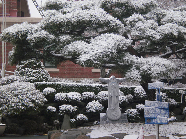 이와서 이미지