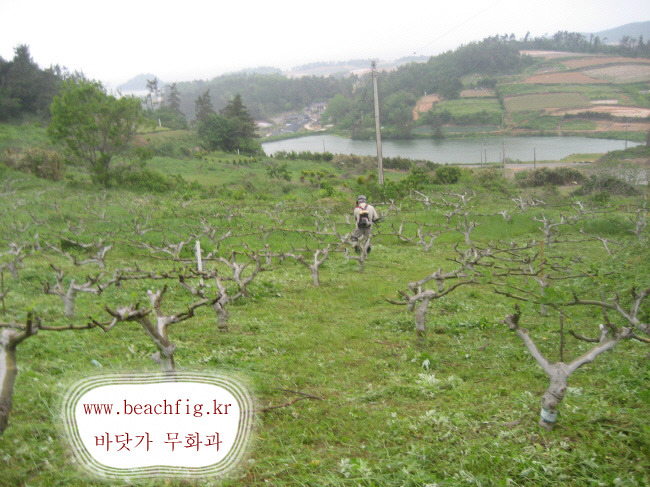 자연농원 이미지