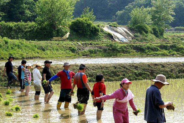 세심 이미지