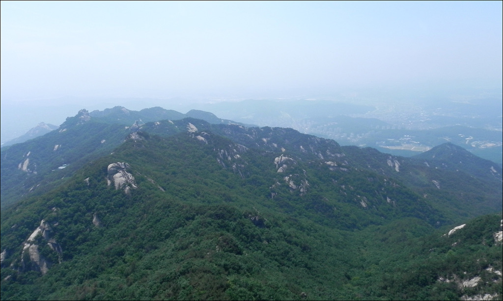 선림 이미지