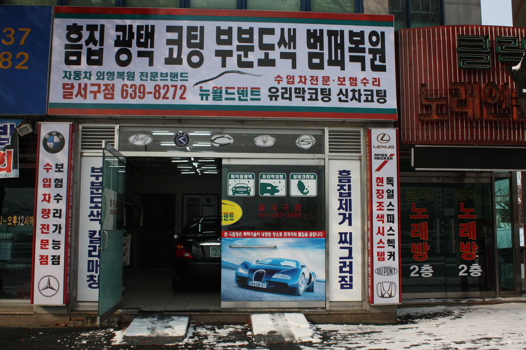 뉴월드덴트 이미지