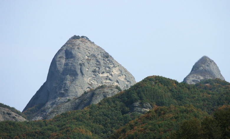 마이산농수산물 이미지