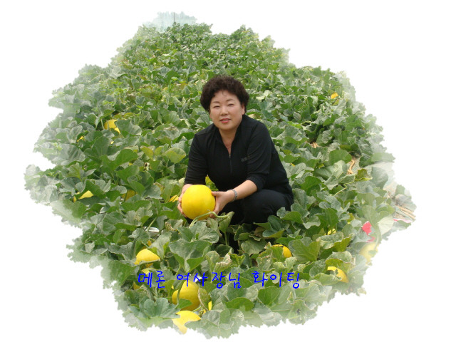 영희농장 이미지