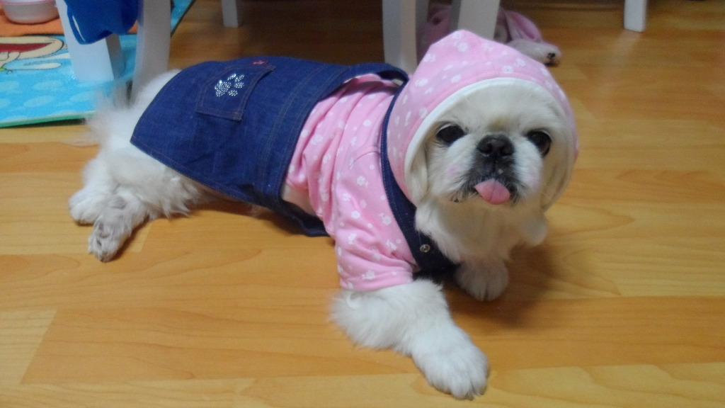 뚱브라더스 이미지