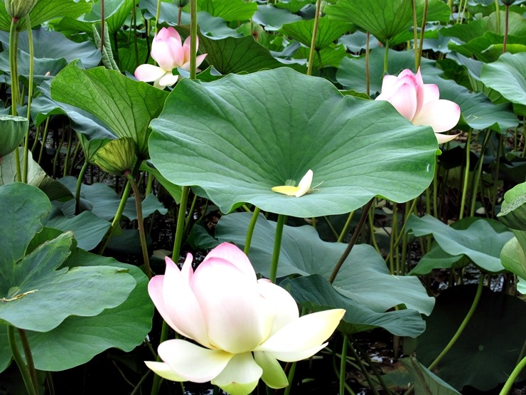 준주 이미지