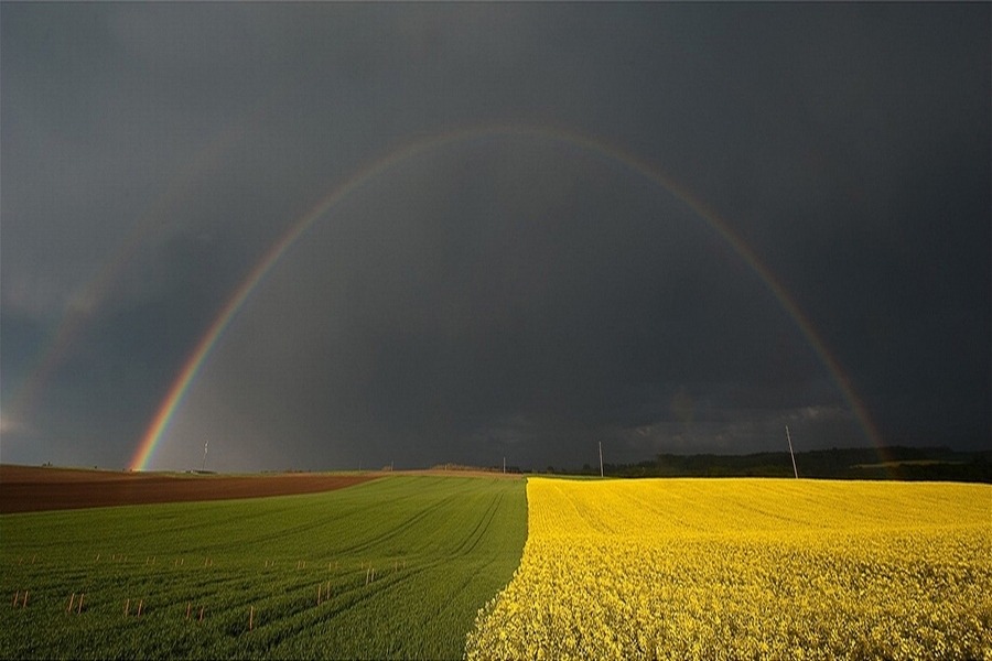 137E88364EFC3ADD323CCE