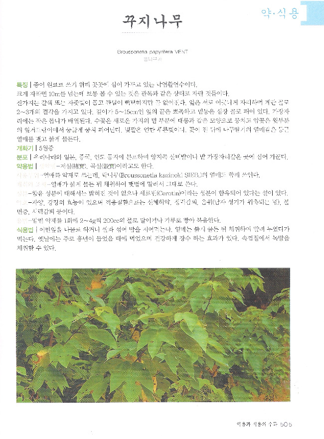 꾸디 이미지