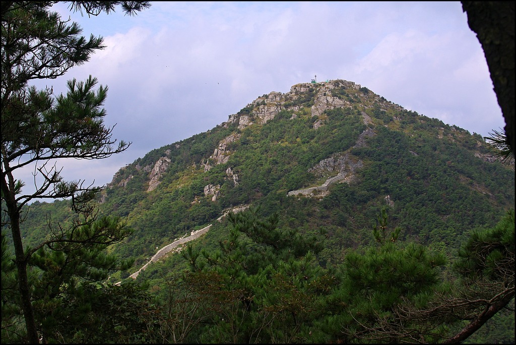 목화아씨 이미지